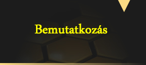 Bemutatkozs